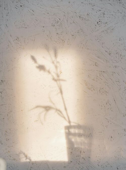 Épilation définitive : retrouver sérénité et confiance face aux poils indésirables